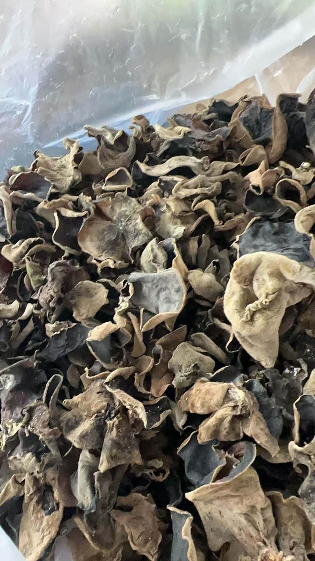 农家自摘晾晒干木耳