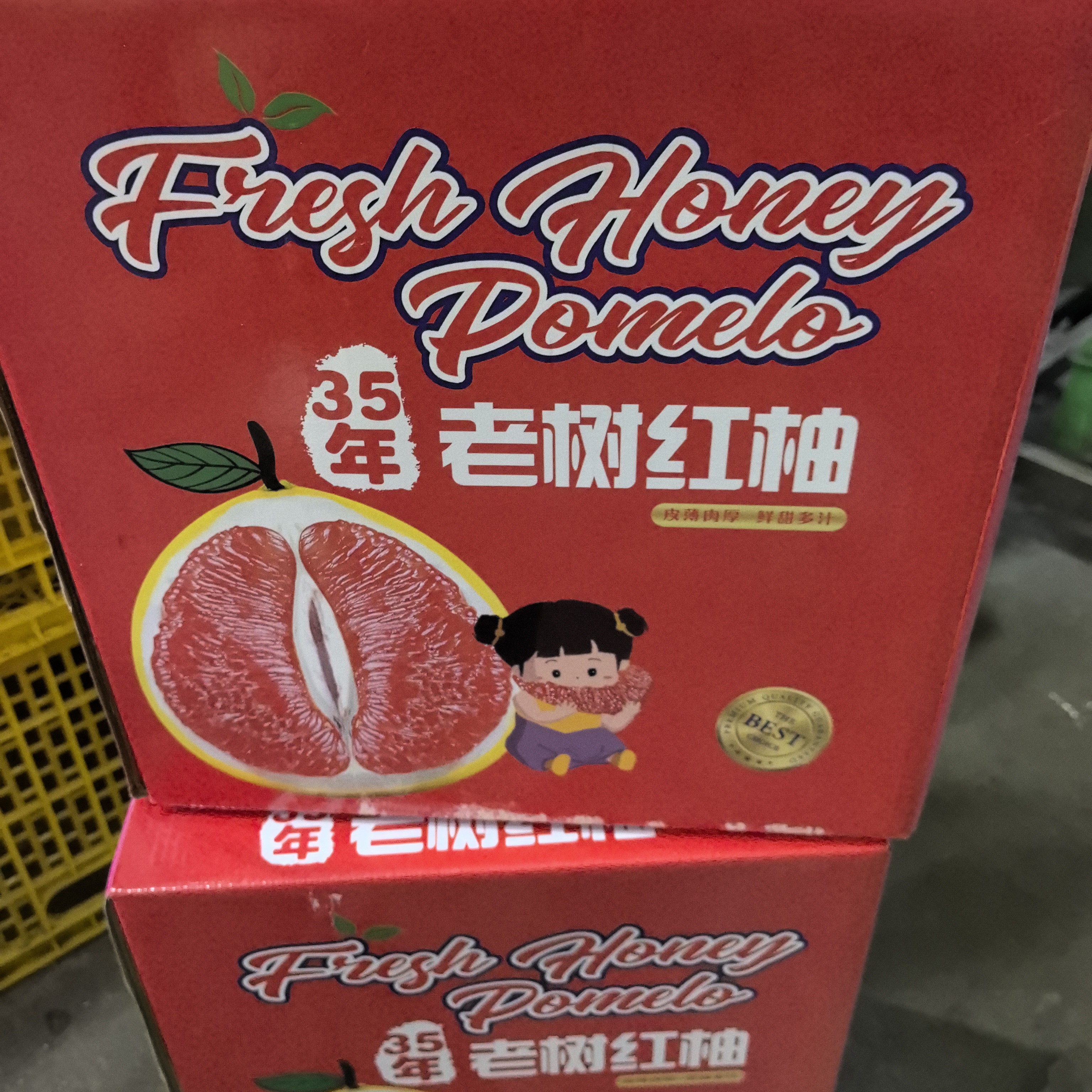老树三红柚4只装毛重9.2斤广西壮族自治区