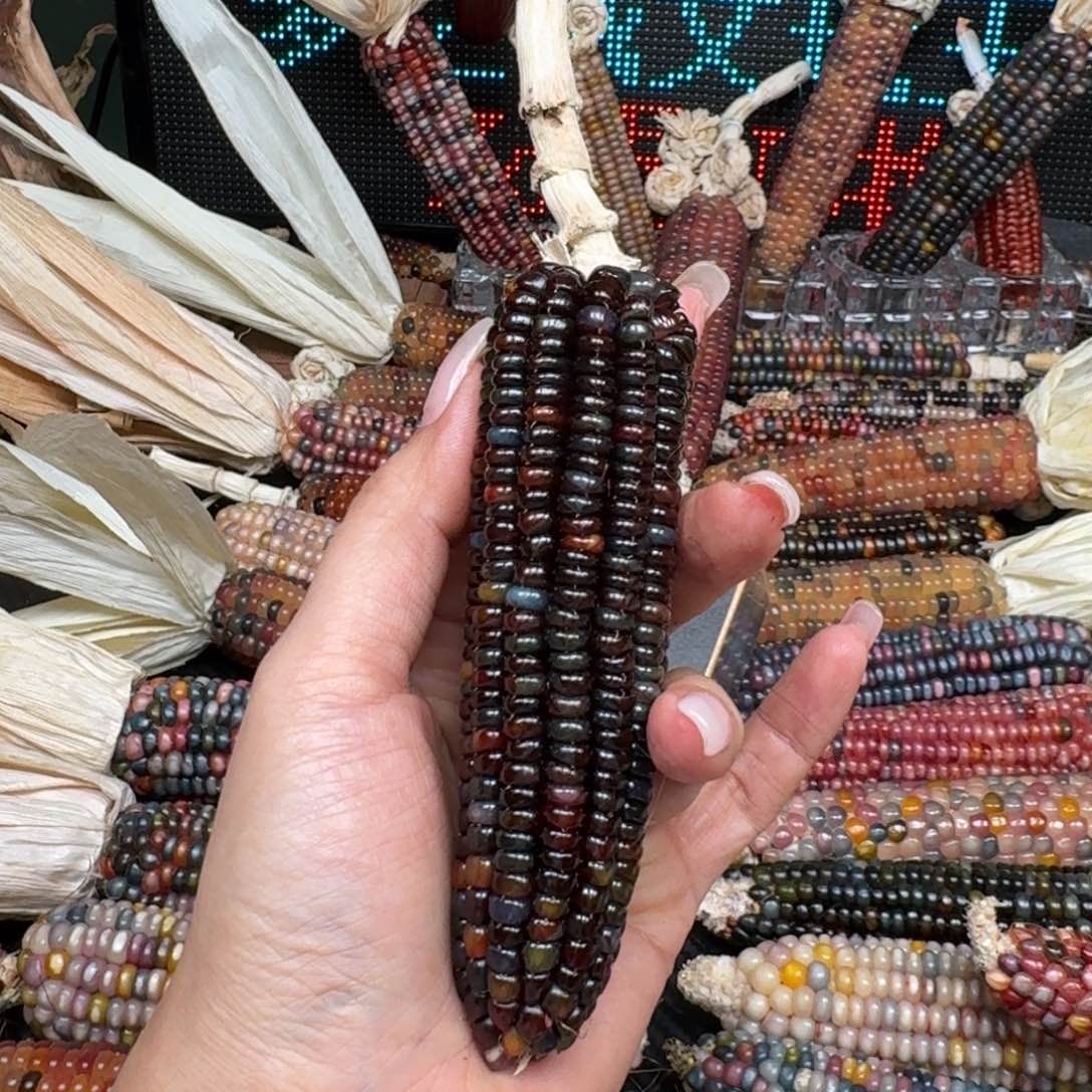 柏香籽/百香籽吊坠凌***油