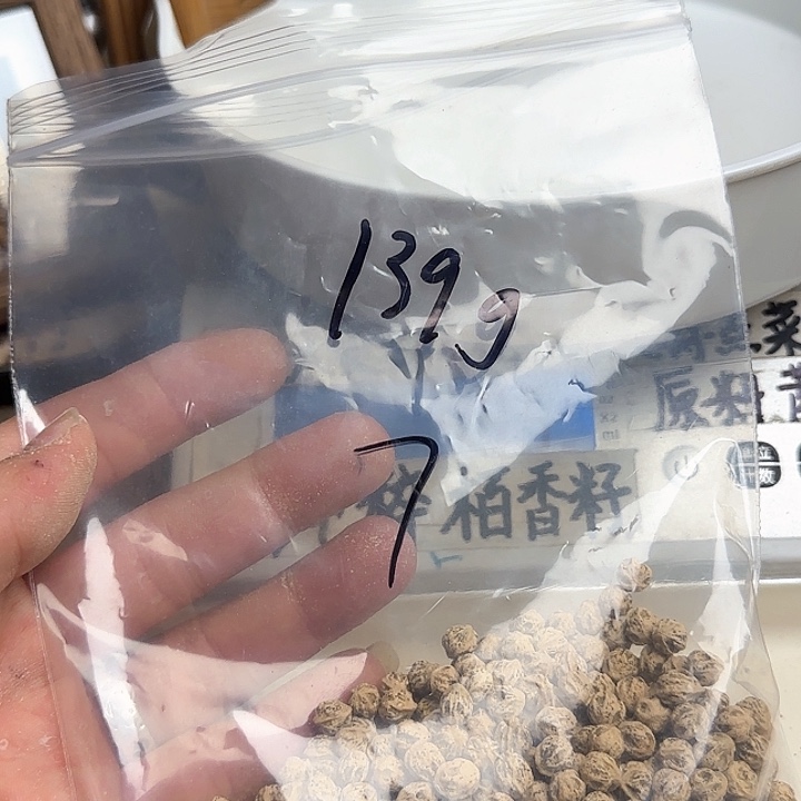不***鹿吊坠柏香籽/百香籽