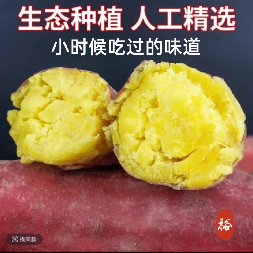 【买3送2到手5斤】红薯新鲜现挖软糯香甜的正宗板栗红薯特好吃r2