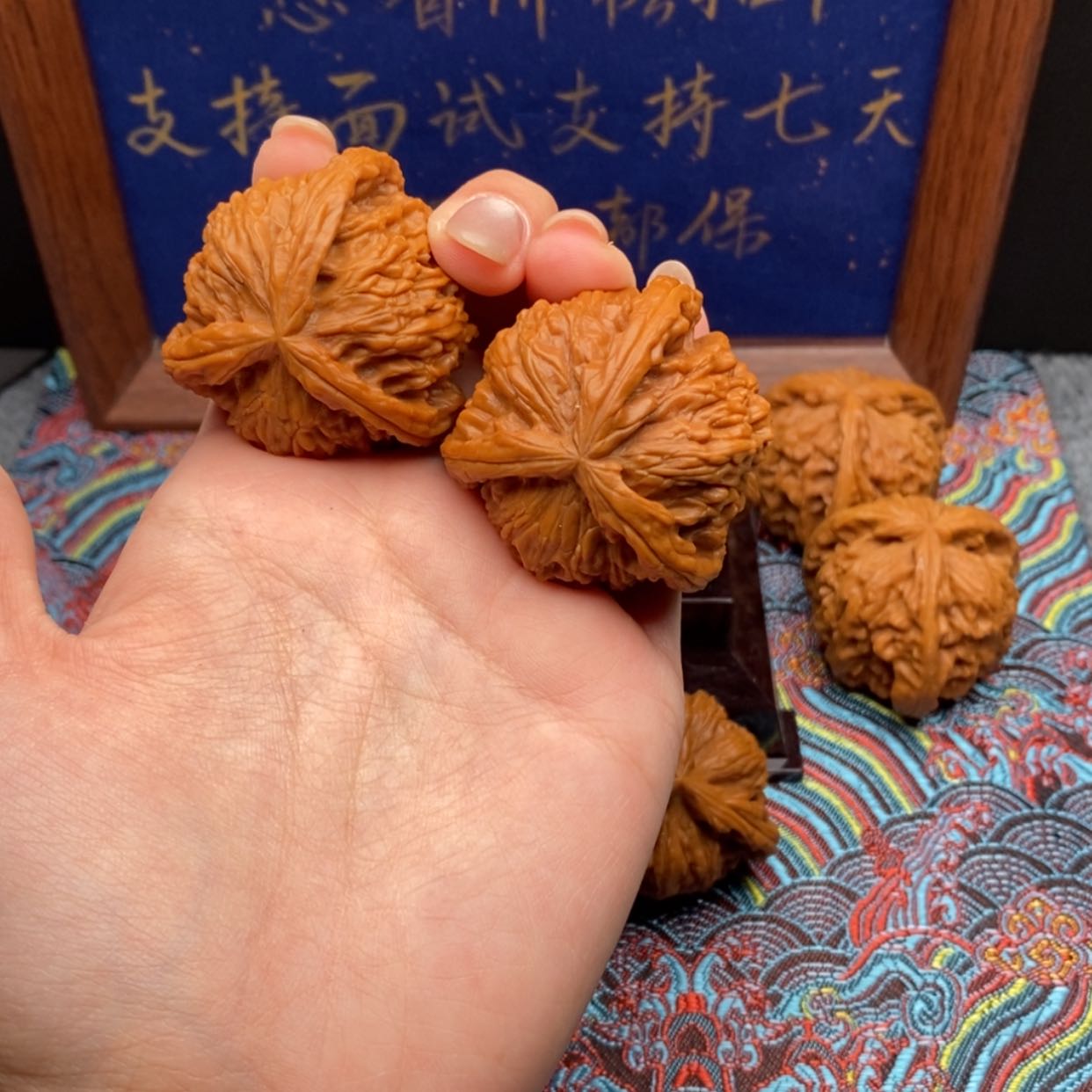 【闪购商品】海****白狮