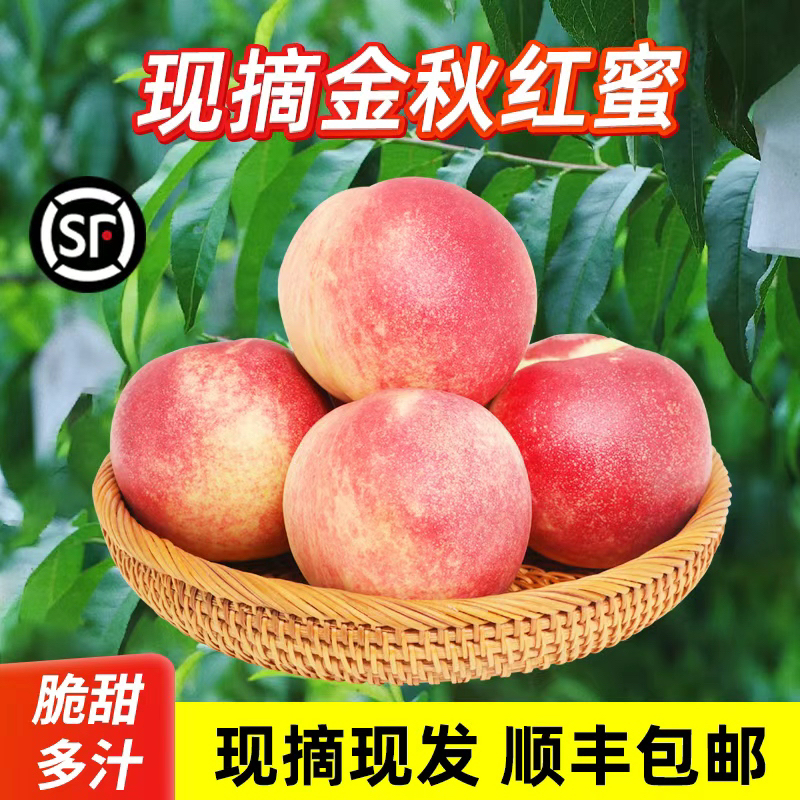 【顺丰包邮】正宗山东蒙阴金秋红蜜桃新鲜现摘水果脆甜多汁2