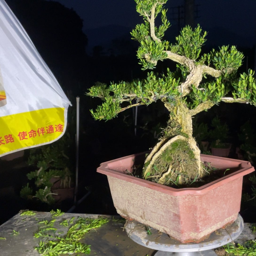 可***喜完全开放12345677