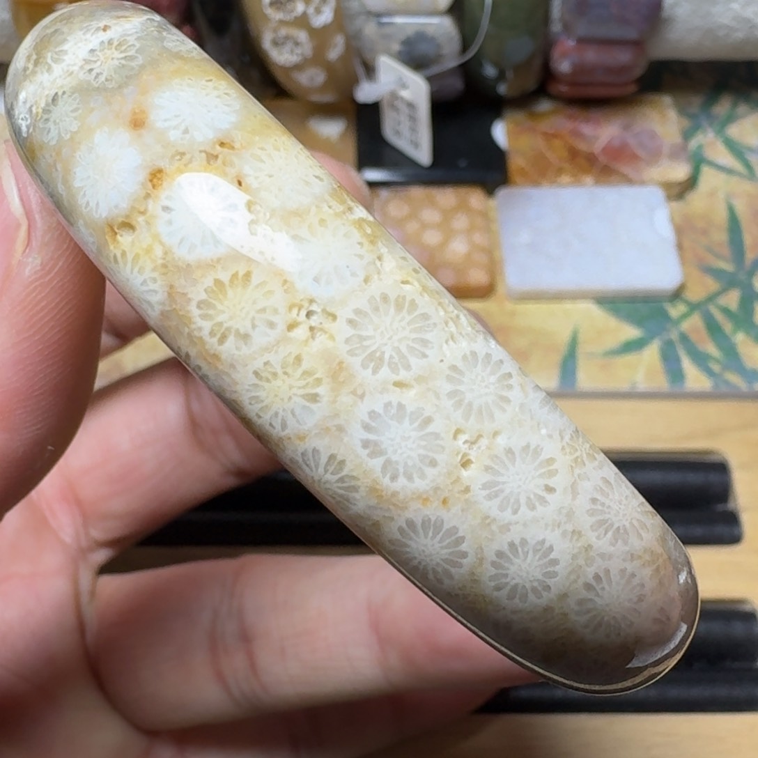 硅化玉纯天然有机玉石保真色未镶嵌59.5圈口