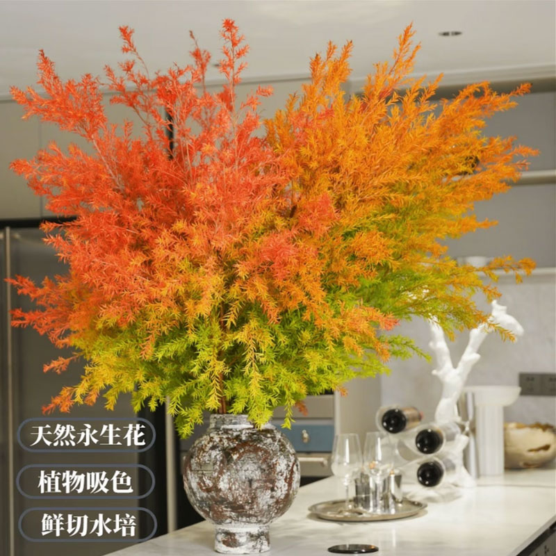 【千层金鲜花】吸色黄金香柳室内优选水培干插云南基地直发鲜花