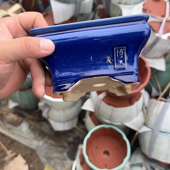 不去看书啊亲爱呢不知道呢