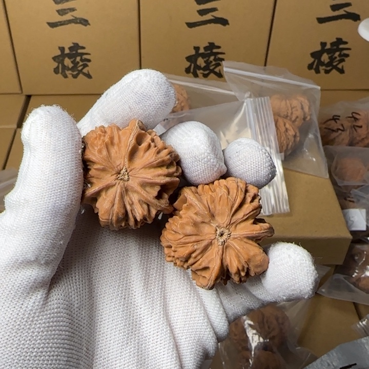 文玩核桃吊坠1**5简单包装玉龙三棱
