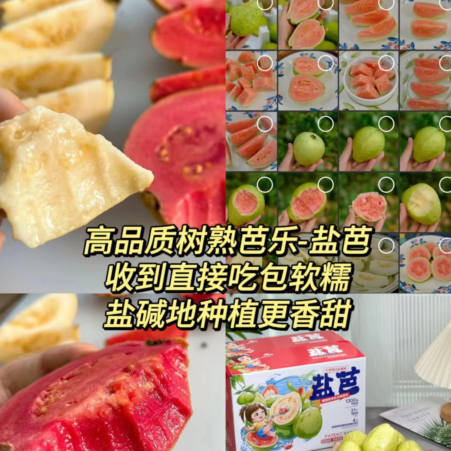 盐芭芭乐2个 约500g