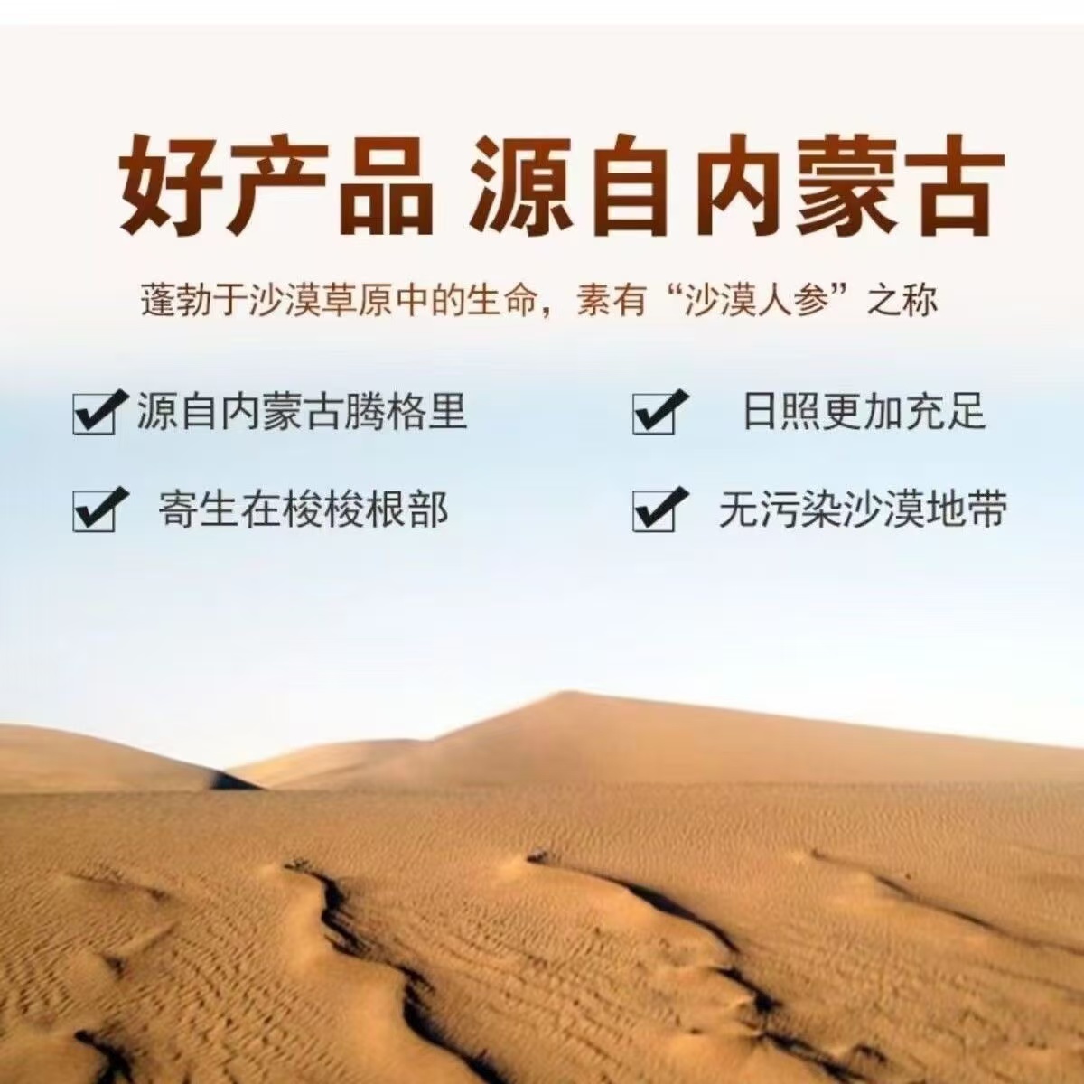 【阿拉善秋冬整根锁锁】阿拉善整根发货沙漠锁锁用于泡酒 搭配杜仲
