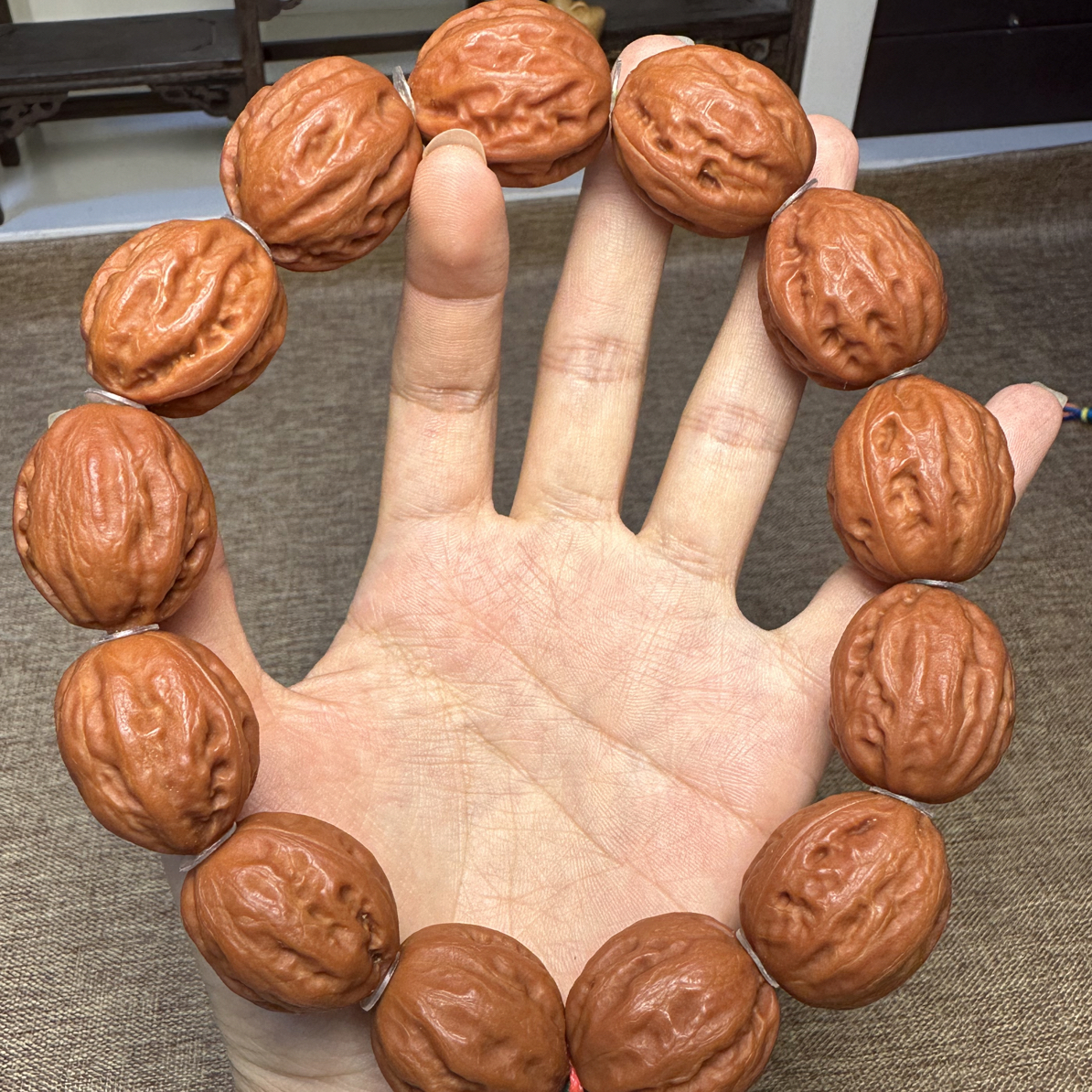 肉筋大枣手持25尺寸