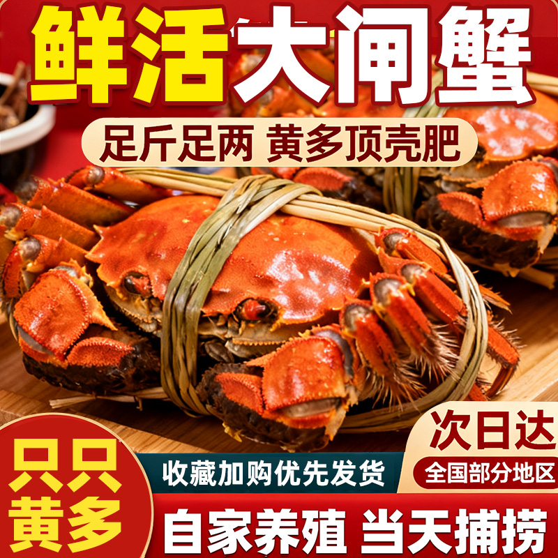 【活蟹现发】江苏大闸蟹公母净重3斤每只3两起10-5只顺丰京东包邮