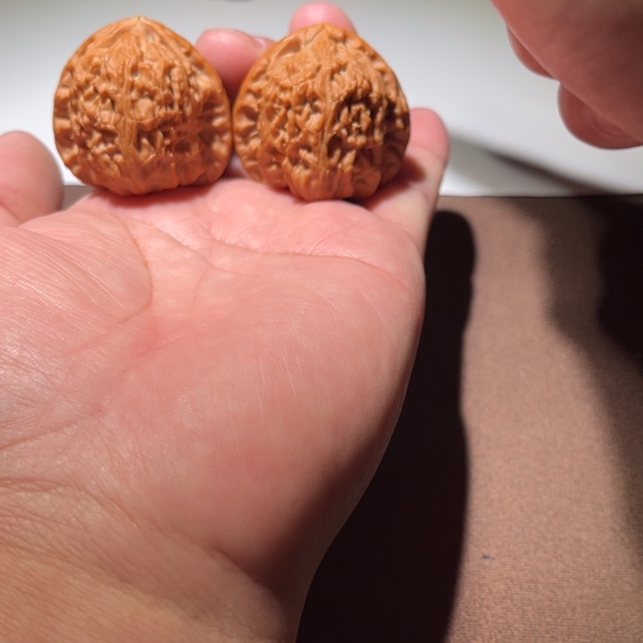 夏***、精品白狮子40尺寸