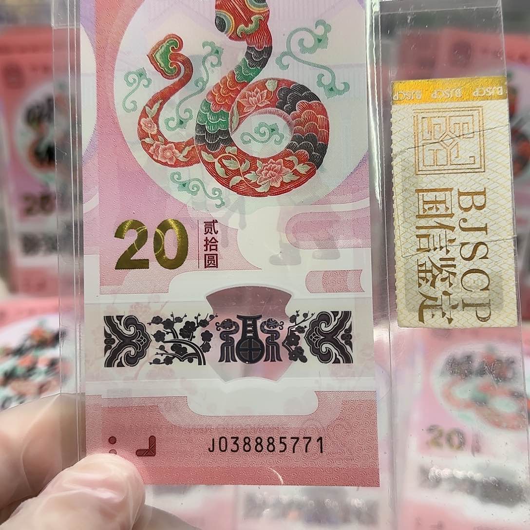 纸038885771。。。。。。。。