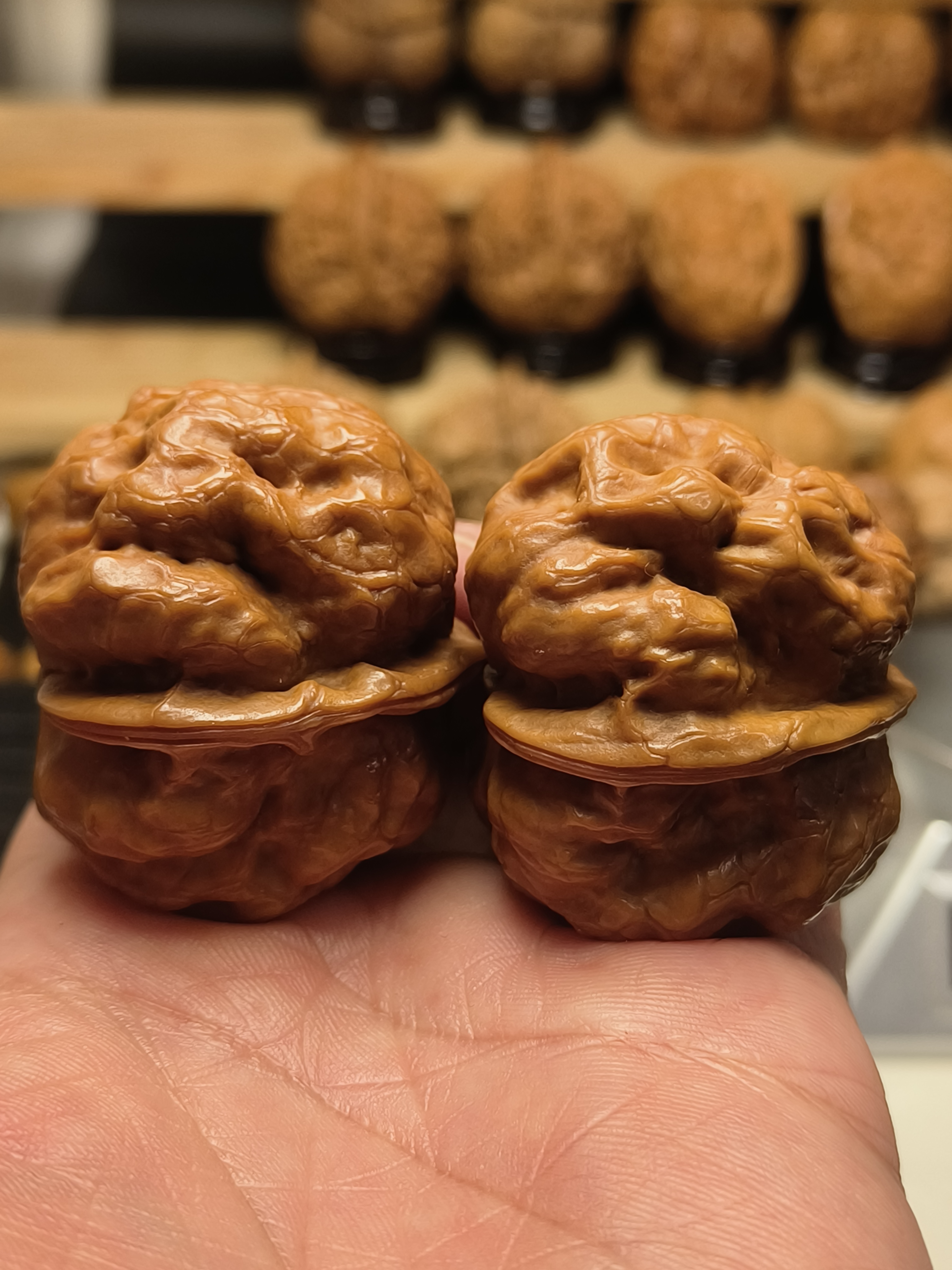 2022年金蟾疙瘩包 尺寸47 当年的树头货