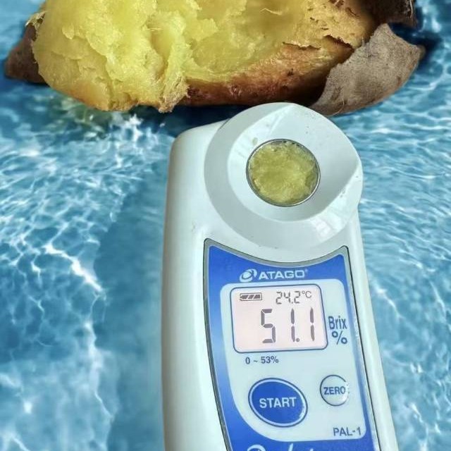 欢乐土拨薯净重2.5Kg家庭装1.5Kg