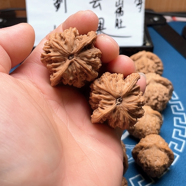 文玩核桃吊坠盘龙纹