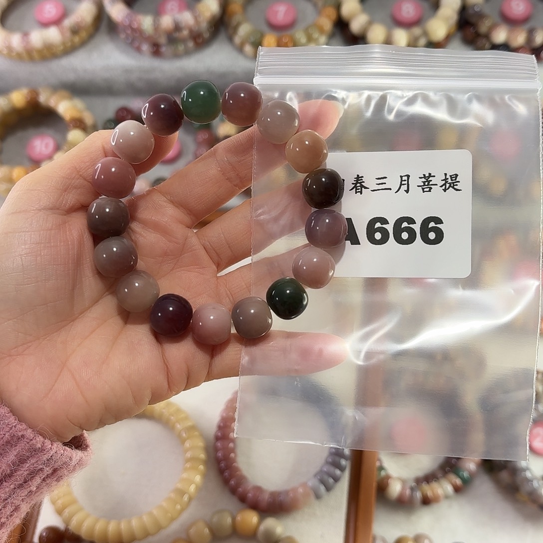 无***.吊坠菩提根/象牙果