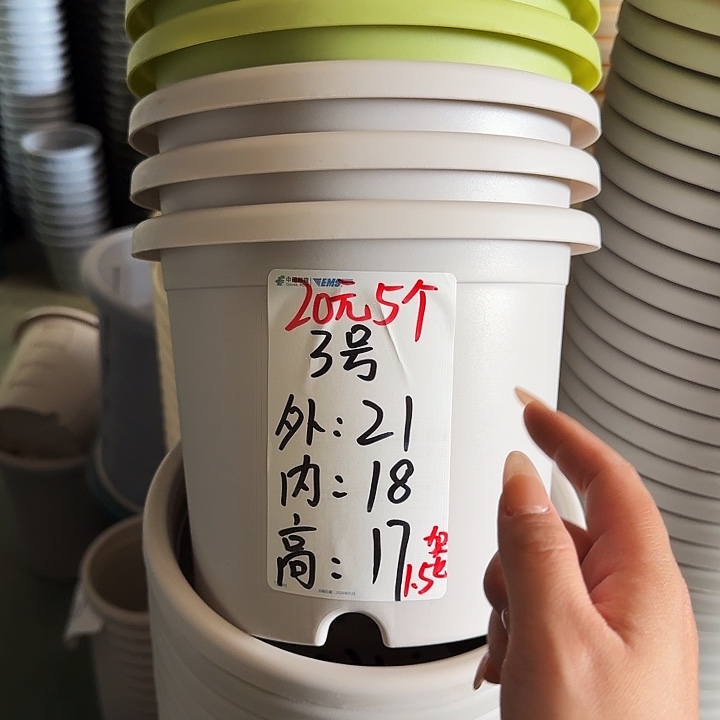 微瑕3#灰白10个无托