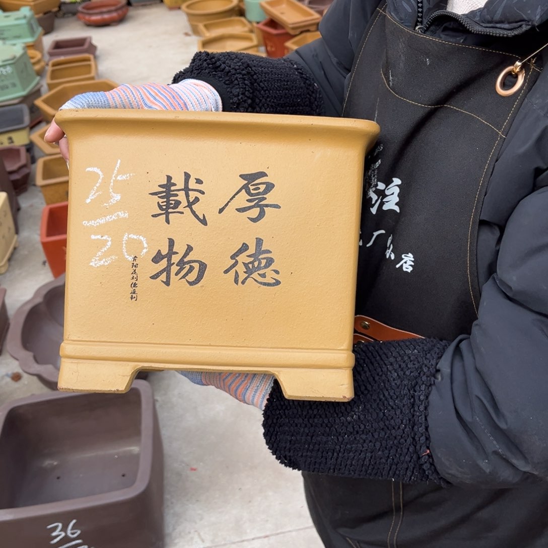 紫砂花盆盆景艺术