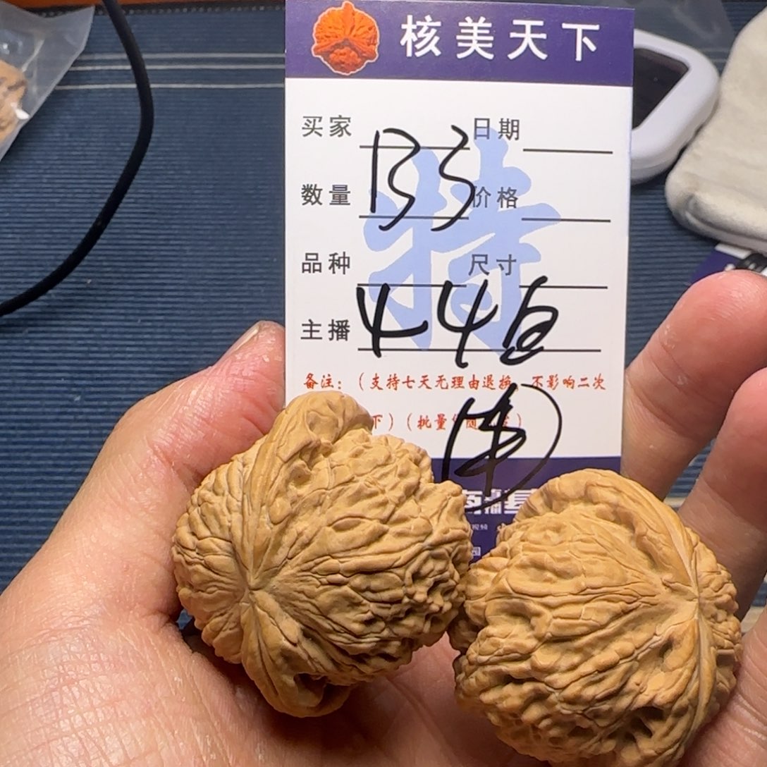 白狮子的故事是一个人