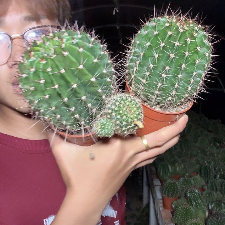 洪***七无花朵彩草哈哈哈哈哈哈哈哈