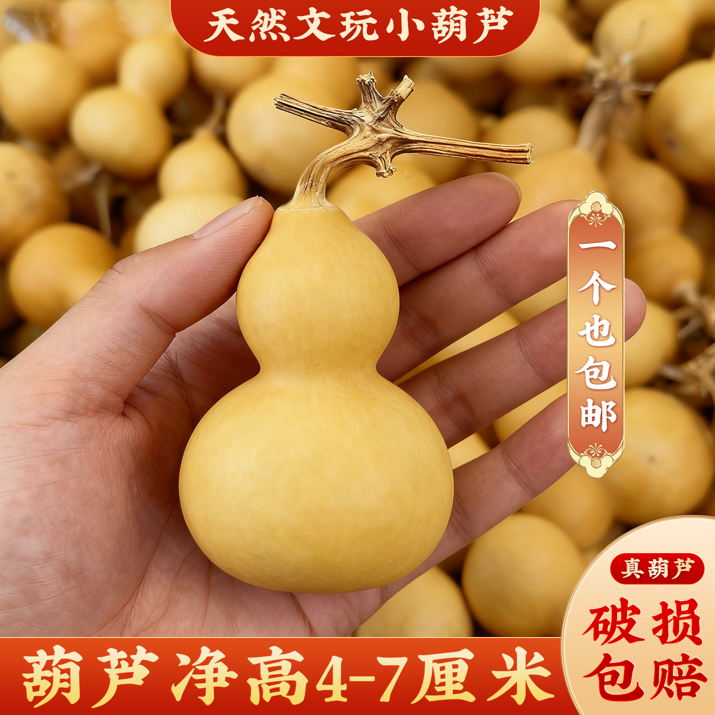 通货天然小葫芦摆件开口闭口胖墩文玩小葫芦手捻手把件装饰品