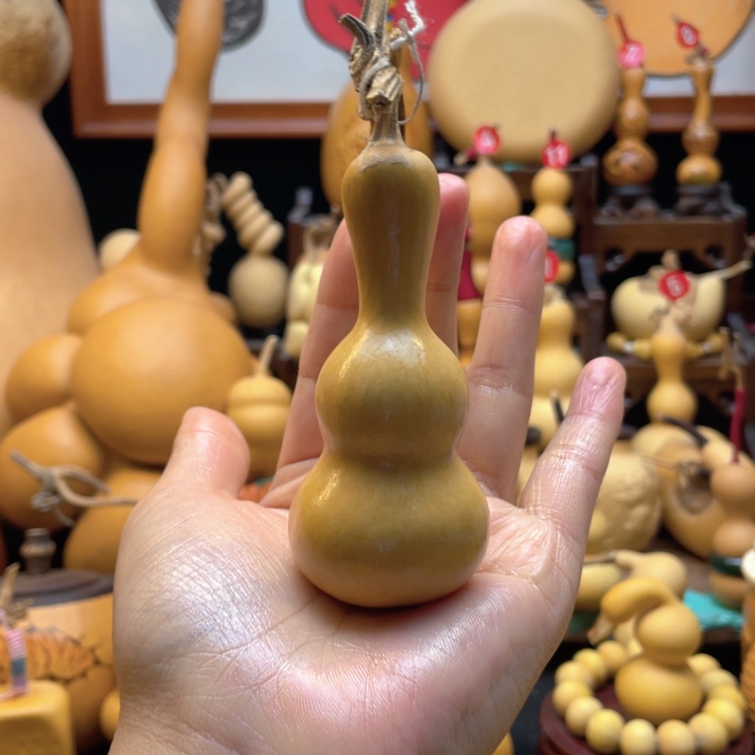 我****岁大自然的秘密第十一章