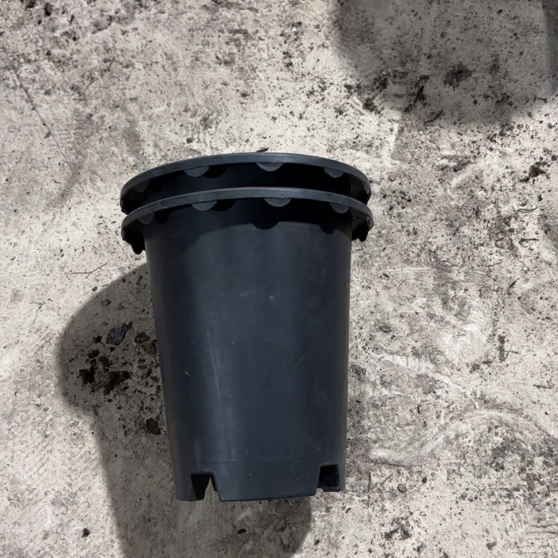 兰花盆12.5口径高13.5发30个