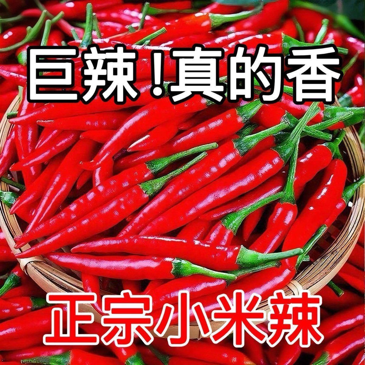 正宗新鲜现摘特辣小米椒新鲜朝天椒爆辣指天椒红辣椒小米辣鲜椒