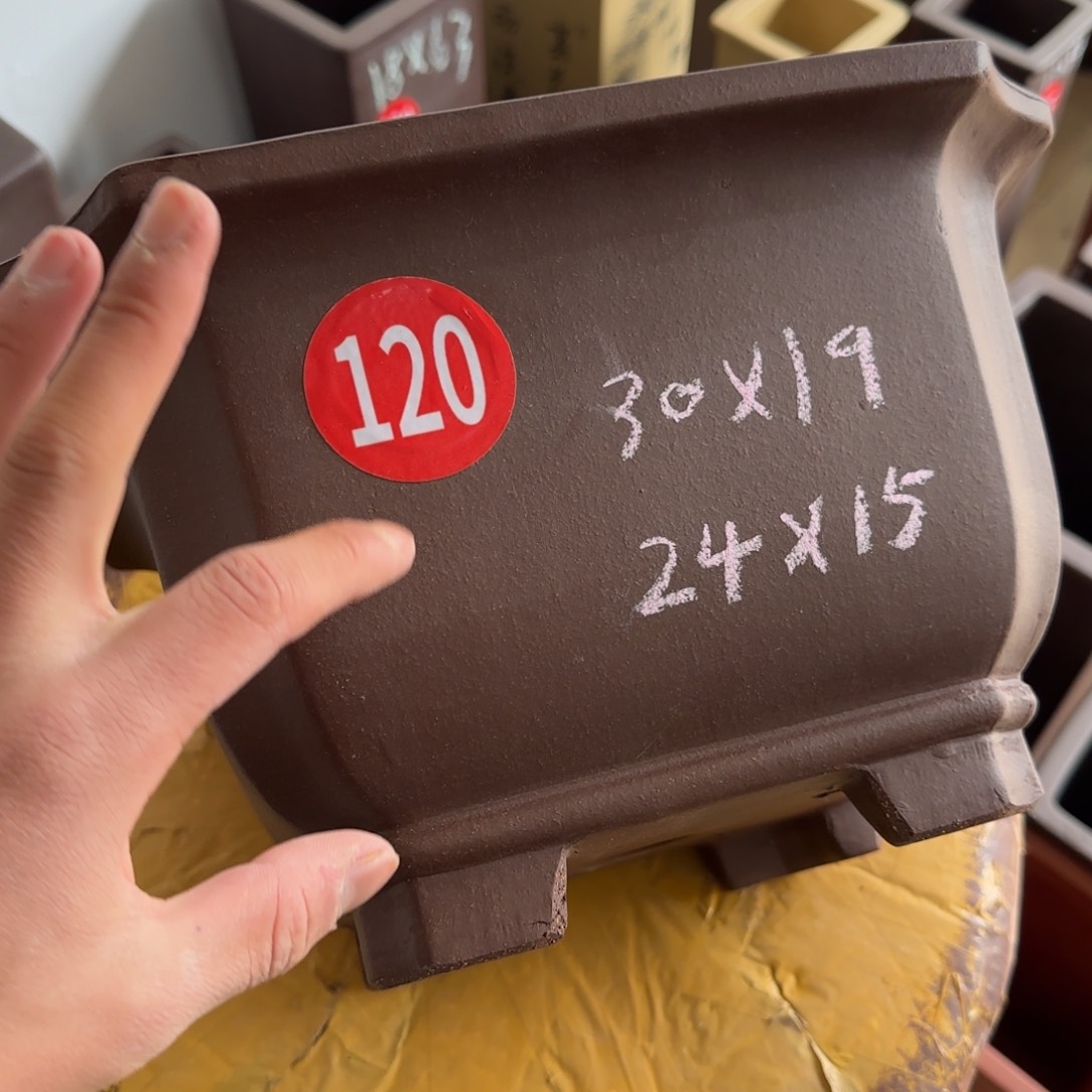 紫砂花盆呜呜呜呜呜我的