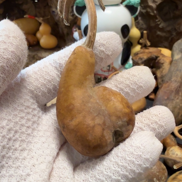 那***虹666667666666666666