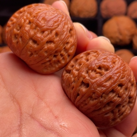 文玩核桃把件秦岭山脉核桃