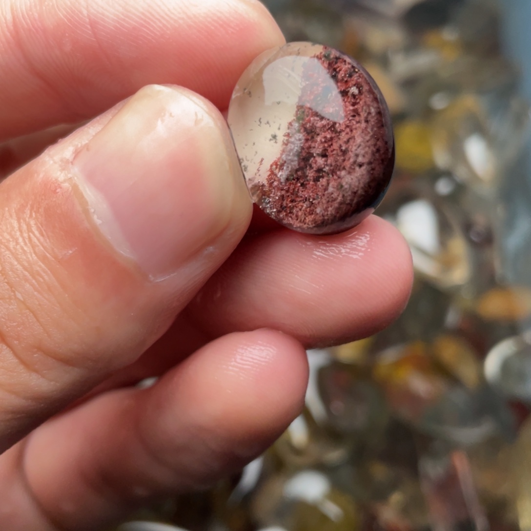 梅***雪非金属ffyyhhyhhhhhhhhhhhh