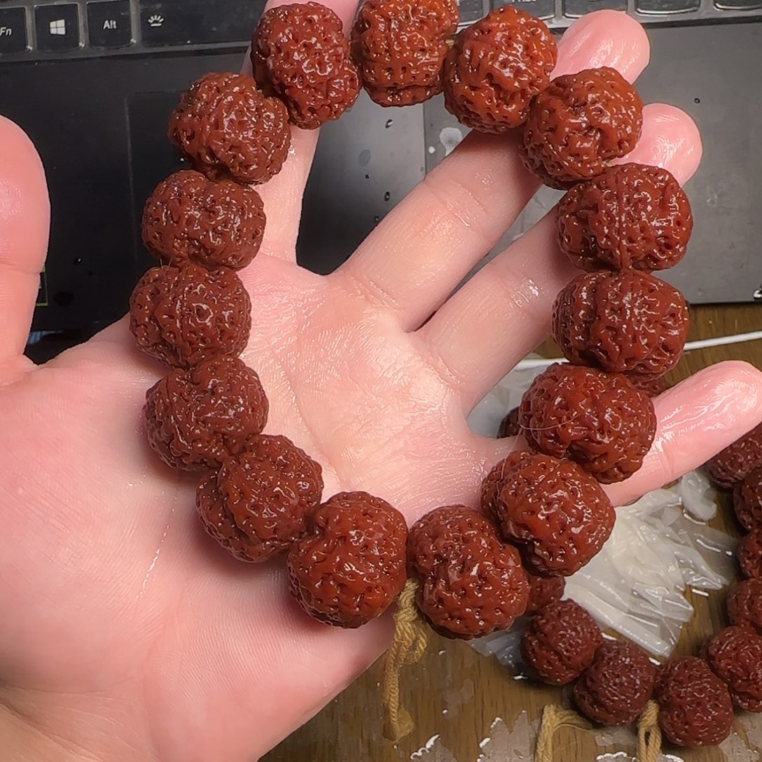 金刚菩提满肉蜂王