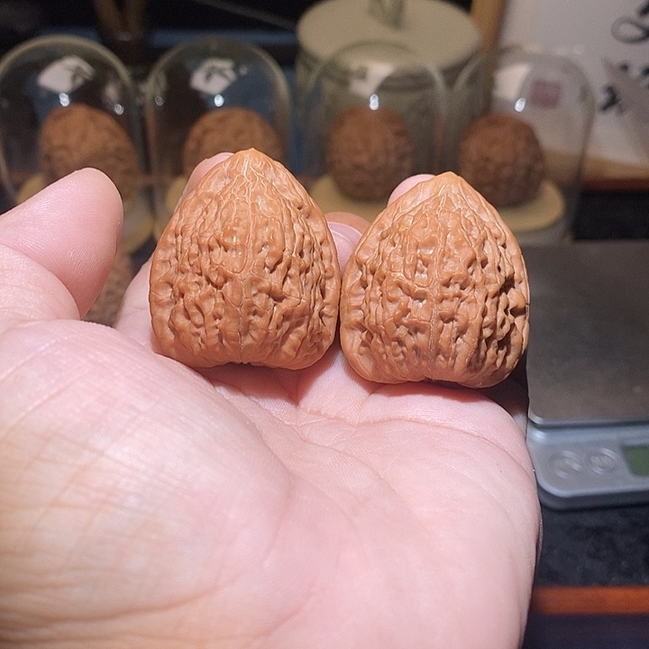 吊坠文玩核桃蛇王一抹红