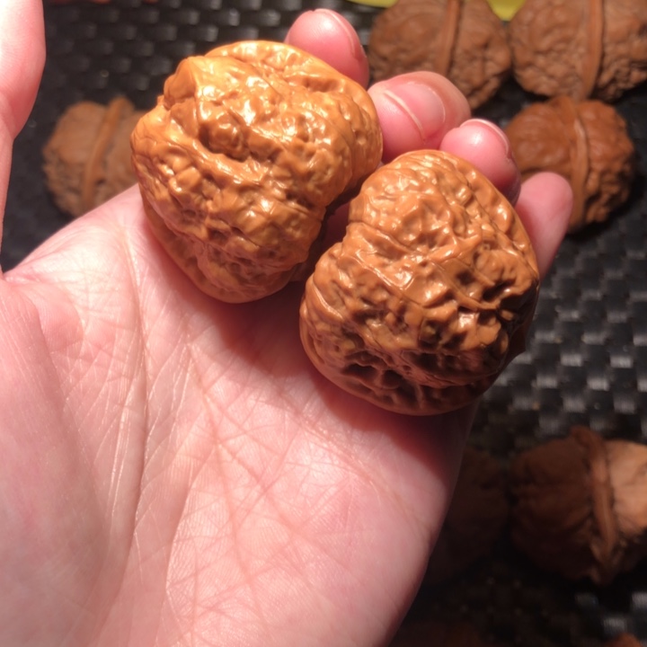 吕***口文玩核桃把件蛤蟆