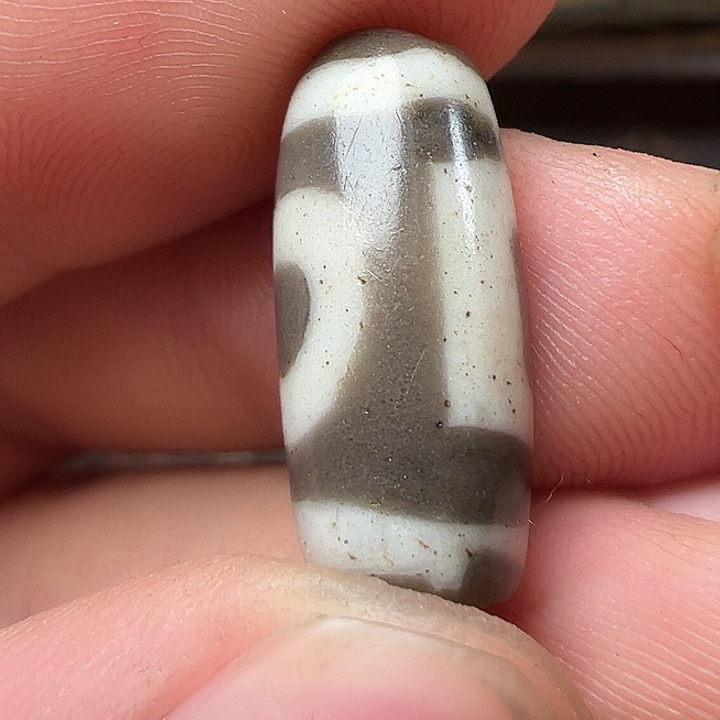 我们都是在这里看到的哈