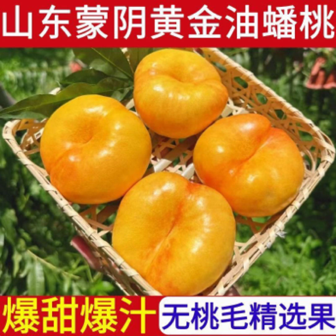 山东蒙阴彩虹油蟠桃现摘甜嫩多汁新鲜应季水果