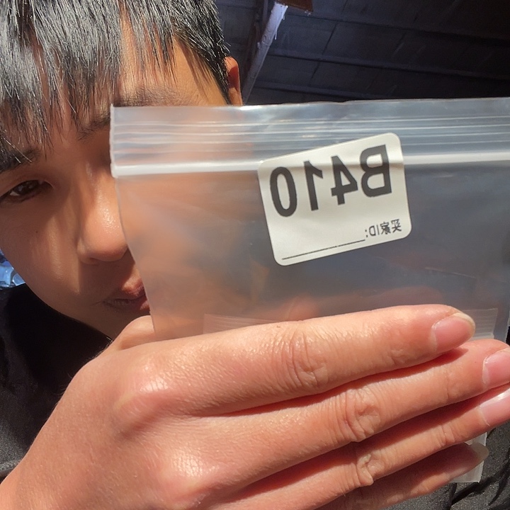 大果紫檀（缅甸花梨）410