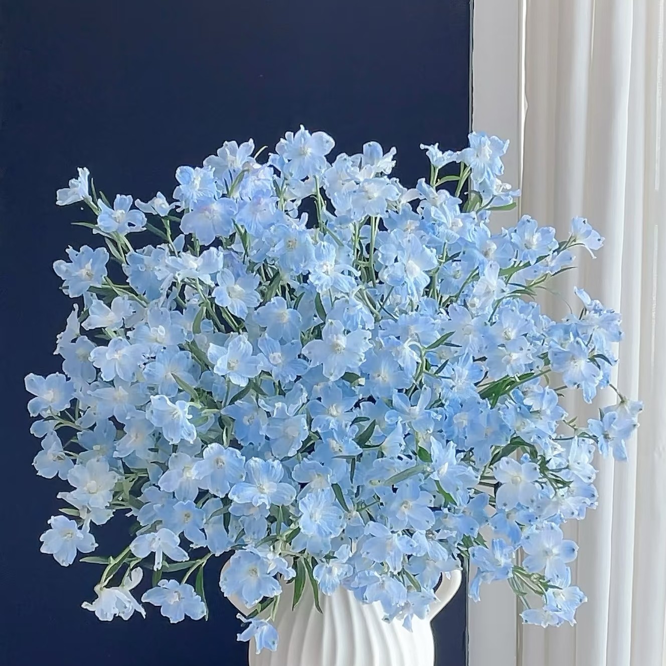 宝熠【天空蓝小飞燕】不包邮一个运费任意拍.运费单拍