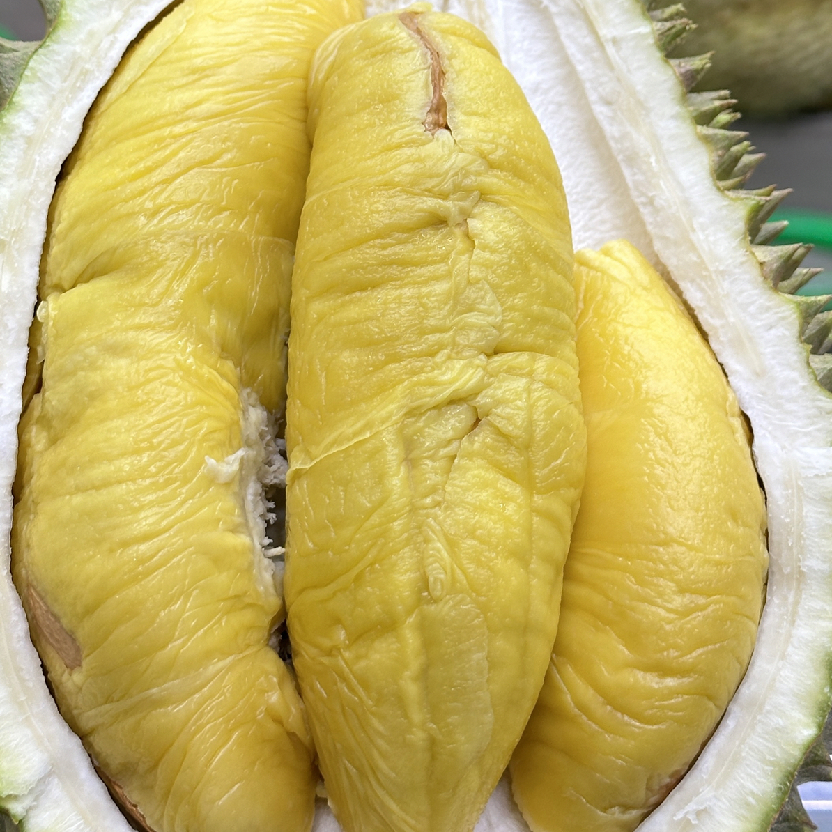 （金凤D198)马来西亚新鲜榴莲，核大2-6斤，纯甜猫山王马来西亚