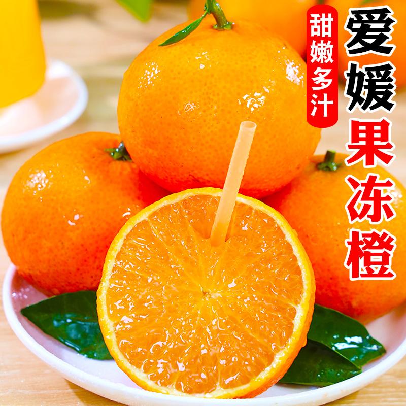 【嫩如果冻】正宗爱媛38号果冻橙5/9斤现摘现发皮薄肉嫩爆汁鲜甜