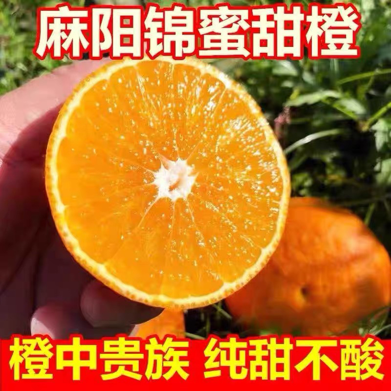麻阳特产纯甜无酸锦蜜橙