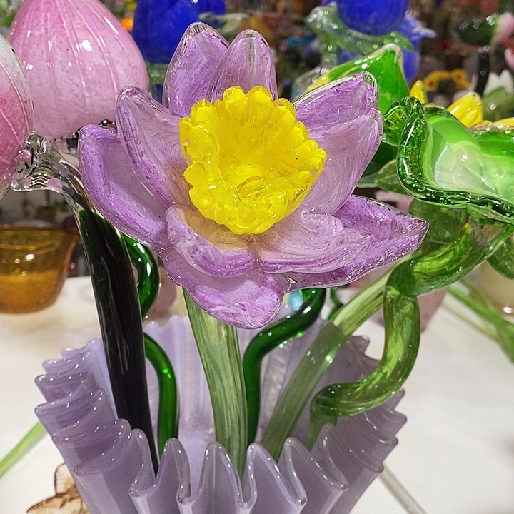 夜光花高45厘米宽12