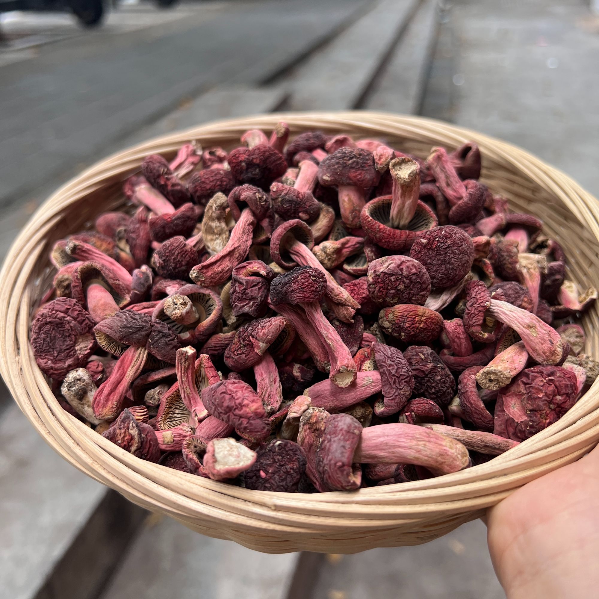 福建武夷山红菇丁蓝底今年新菇干货特级红菇煲汤炖汤菌菇月子菇S