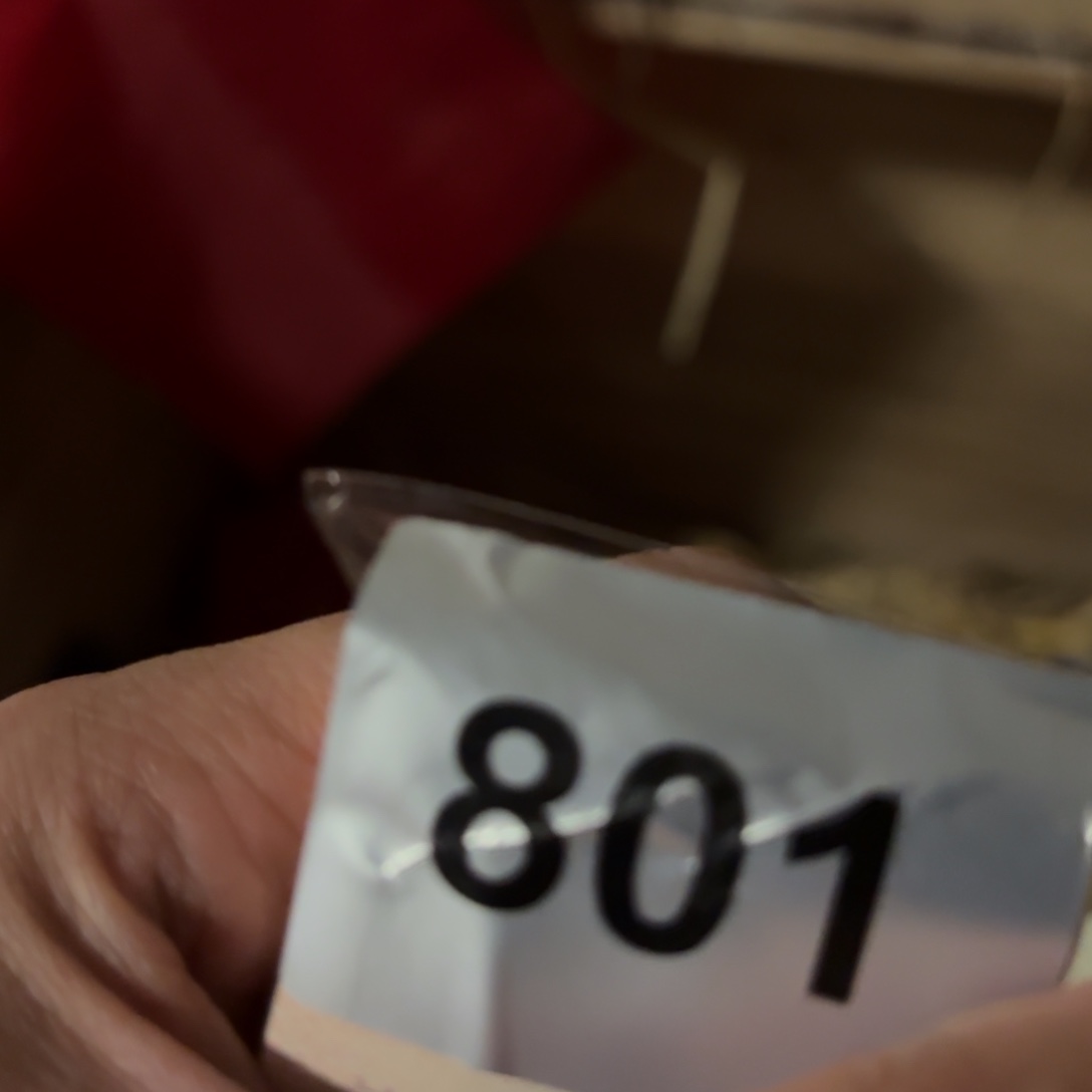 玉34564477577768876888788