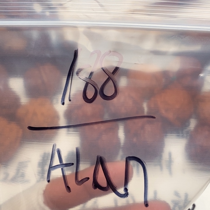 文玩核桃把件A***～玉化血麒麟 不退不换