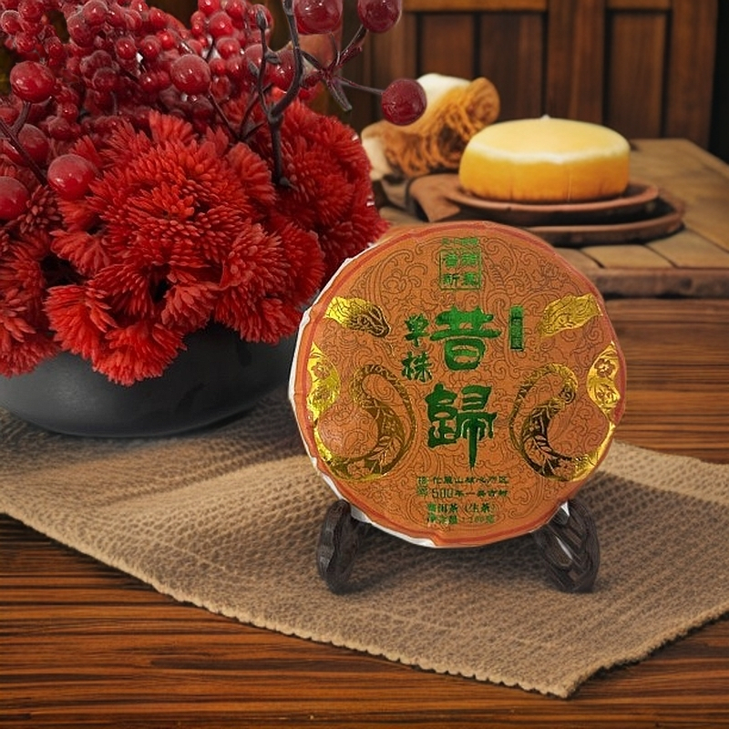 高货【昔归单株】2024年昔归忙麓山核心区古树头春100克饼