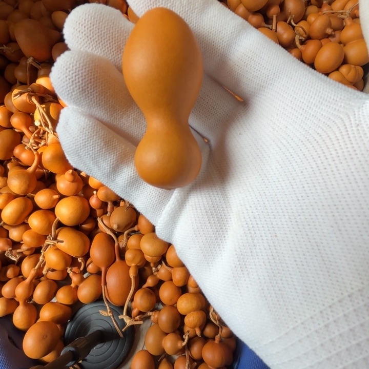 小**?小迷糊的一把子弹头葫芦